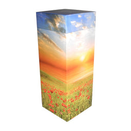 Urne funéraire carrée de dispersion